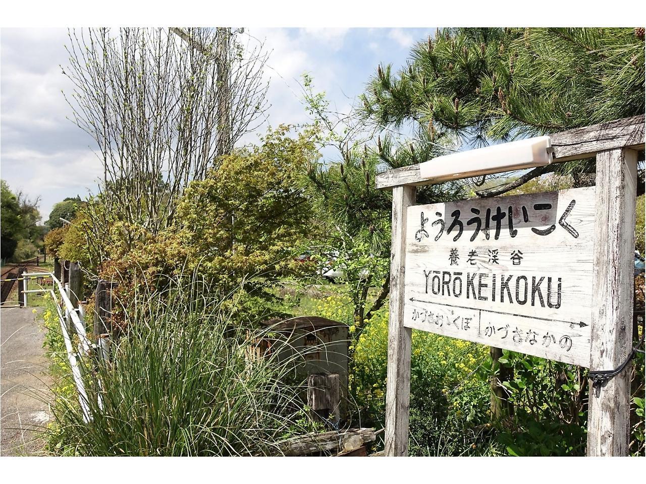Goi Grand Hotel Ichihara Eksteriør billede